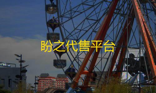 牢大直装3.0盼之代售平台